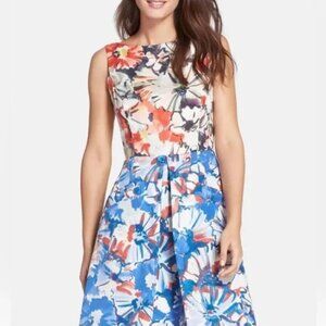 NWT Donna Morgan Dorie Watercolor Floral Sleeveless Pleated Dress 2